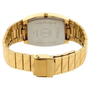 Titan Watch for Men